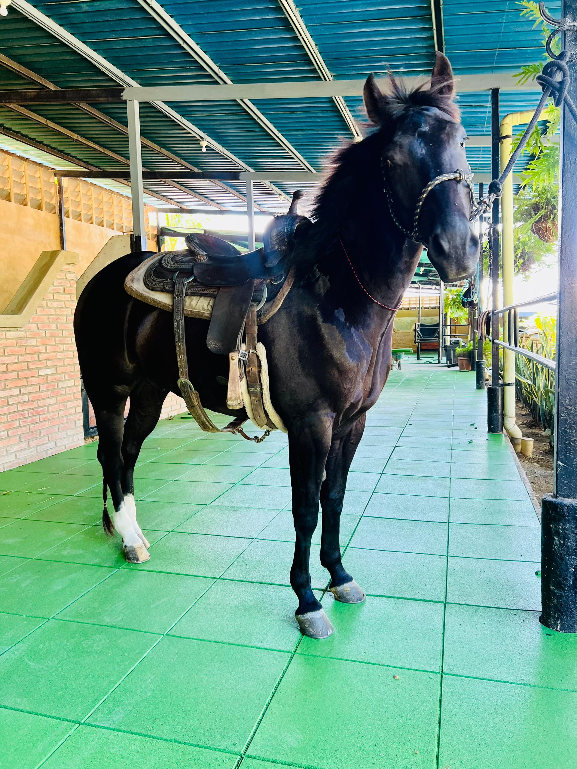 46f382d1-9d32-4c95-8377-b3ced832e2ac